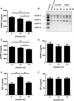 Effects of Transport Duration and Environmental Conditions in Winter or Summer on the Concentrations of Insulin-Like Growth Factors and Insulin-Like Growth Factor-Binding Proteins in the Plasma of Market-Weight Pigs